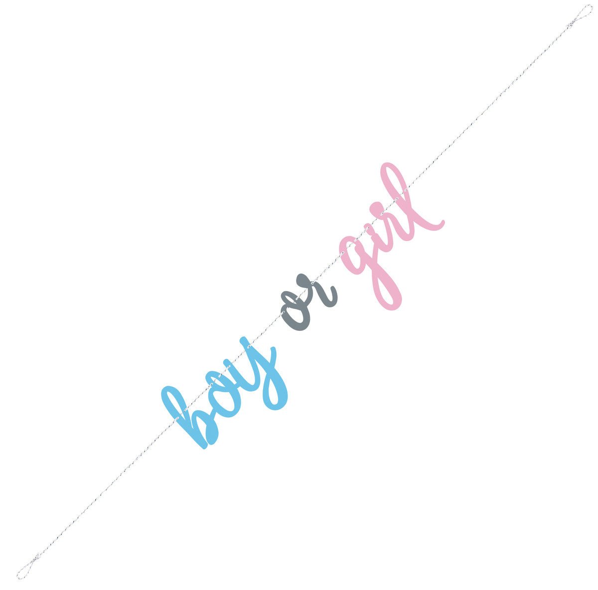 Baby Gender Reveal "Boy Or Girl" Jointed Banner - 1.82m - The Party Marketplace