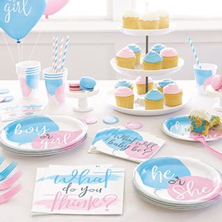 BABY SHOWER & GENDER REVEAL