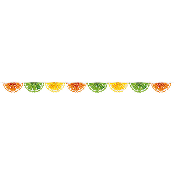 Citrus Fruit Paper Garland (2.43m)