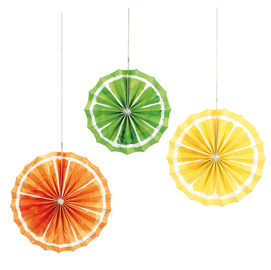 Citrus Fruit Paper Fans - Assorted Sizes (Pack of 3)