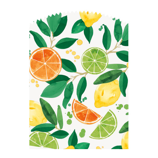 Citrus Fruit Treat Bags with Sticker Closures (Pack of 6)