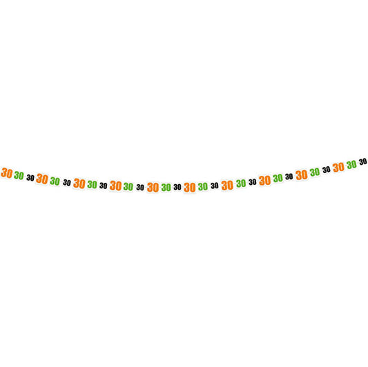 Birthday Cheer "30" Paper Garland (2.74m)