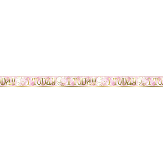 Pink Gingham 1st Birthday "1 Today" Foil Banner - 3.6m