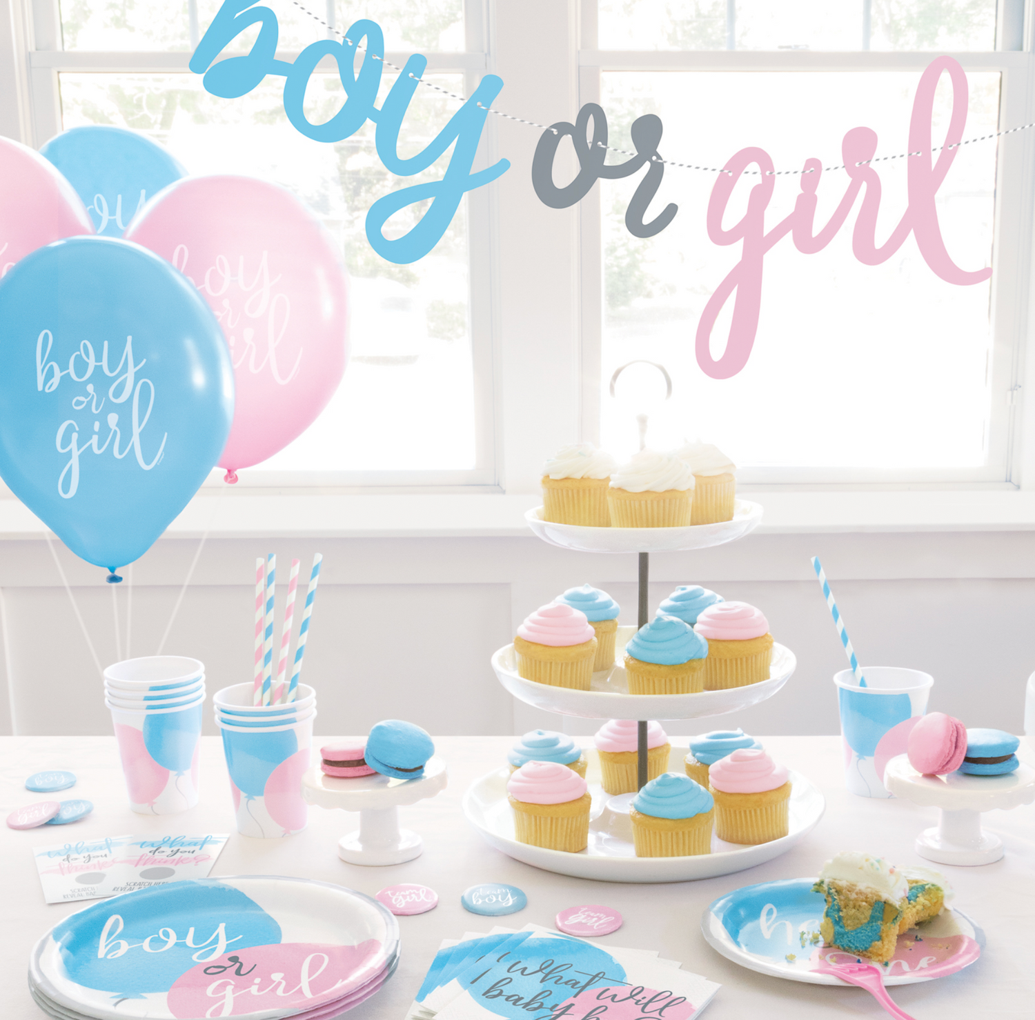 BABY SHOWER & GENDER REVEAL