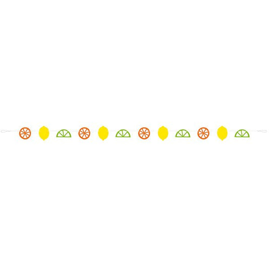 Citrus Fruit Paper Garland (1.82m) - The Party Marketplace
