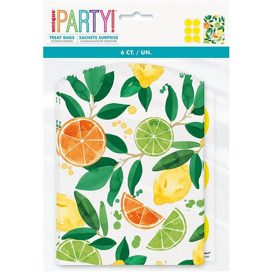 Citrus Fruit Treat Bags with Sticker Closures (Pack of 6) - The Party Marketplace